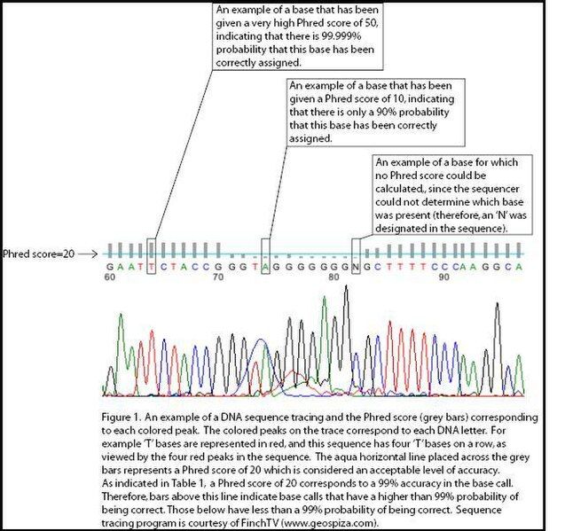 File:Phred Figure 1.jpg