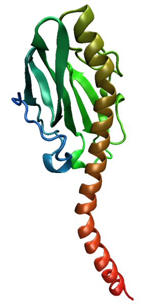 File:Pilin-2pil.png