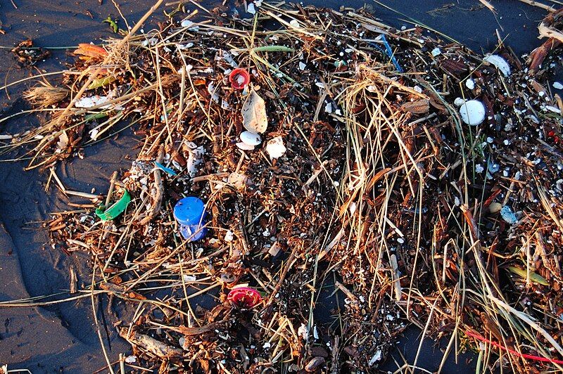 File:Plastic Ocean (4408273247).jpg