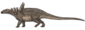 Sauropelta