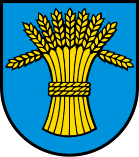 File:Wappen Rüfenach AG.svg