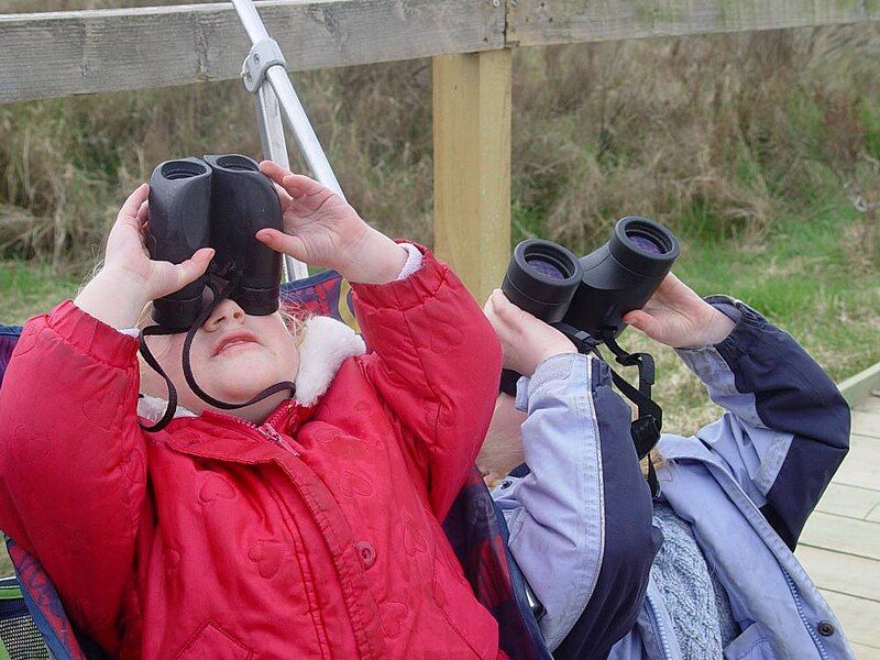 File:Young birdwatchers.jpg