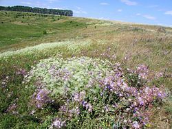 Nature reserve in Batyrevsky District