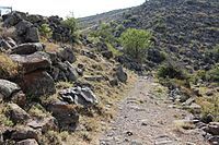 Օրգով ԱՄՐՈՑCastle