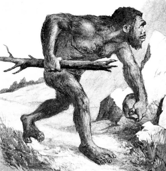 File:009-AN APE MAN.jpg