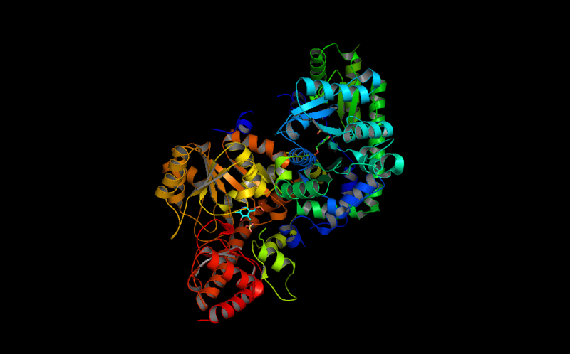 File:ACCsynthasecomplexwPLP.png