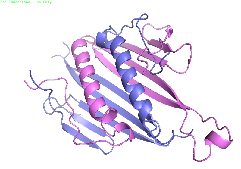 File:AP205 coat protein.png