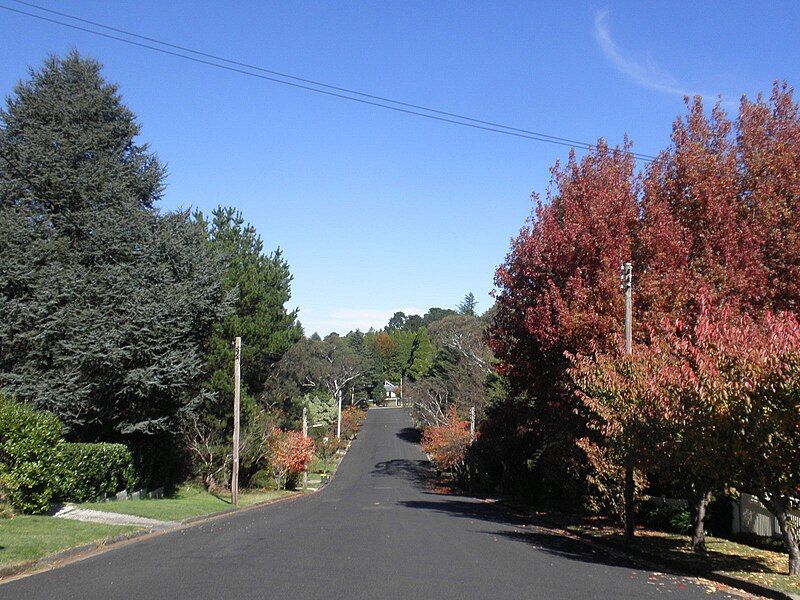 File:Abbey St, Leura.jpeg