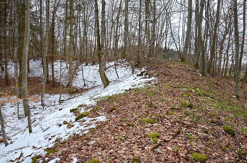 File:Burg Gräbelesberg, Wallreste.jpg