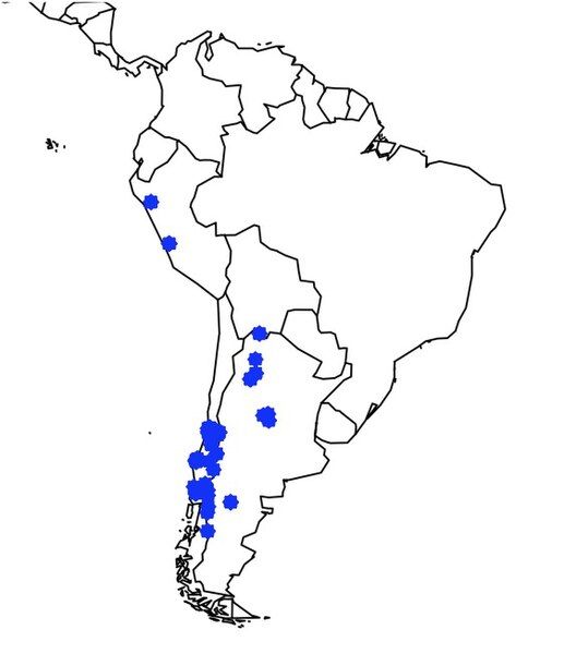 File:Chalepogenus distribution.jpg