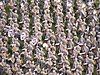 The 2007-2008 Aggie Band performs a countermarch