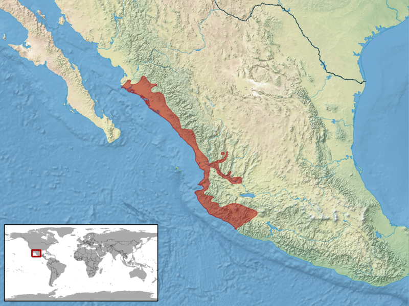 File:Crotalus basiliscus distribution.png