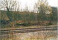 A picture of the former come Dudley Freightliner Terminal signal box's remnants in 2002.