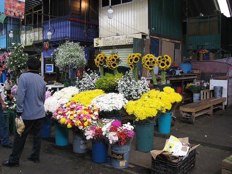 File:FlowerStallJamaicaMarketDF.JPG