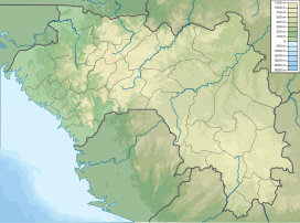 Mount Nimba is located in Guinea