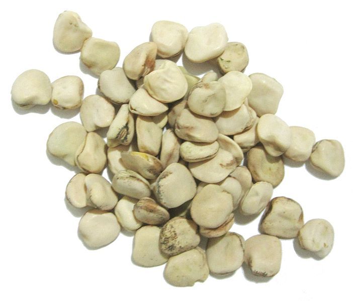 File:Lathyrus sativus seeds.JPG