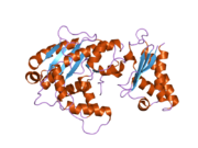 2d5r: Crystal Structure of a Tob-hCaf1 Complex