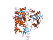 2gjk: Structural and functional insights into the human Upf1 helicase core