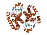 2j9h: CRYSTAL STRUCTURE OF HUMAN GLUTATHIONE-S-TRANSFERASE P1-1 CYS-FREE MUTANT IN COMPLEX WITH S-HEXYLGLUTATHIONE AT 2.4 A RESOLUTION