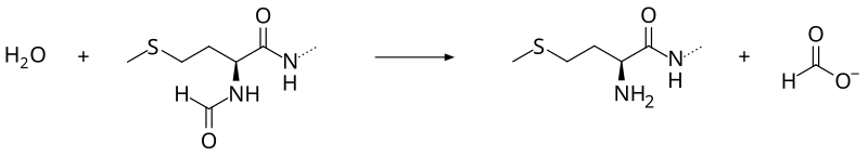 File:Peptide deformylase.svg