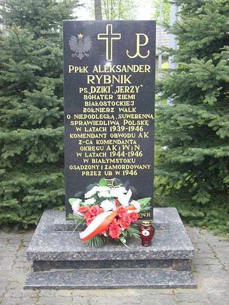 File:Rybnik Aleksander.JPG