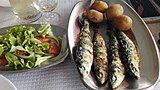 Grilled sardines with potato and salad, Portugal