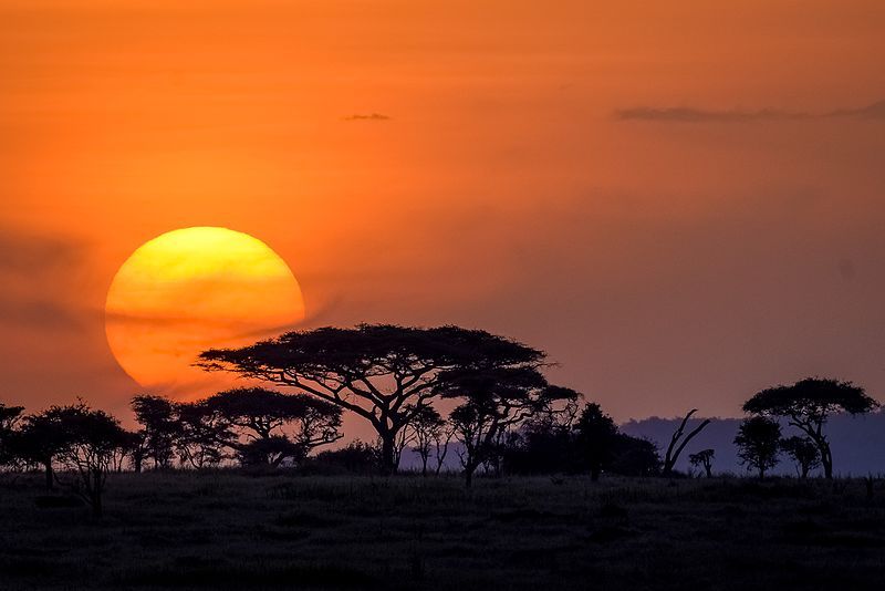 File:Serengeti sunset-1001.jpg