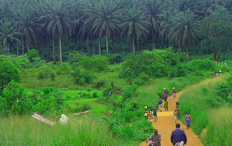 File:Sierra Leone Road.jpg