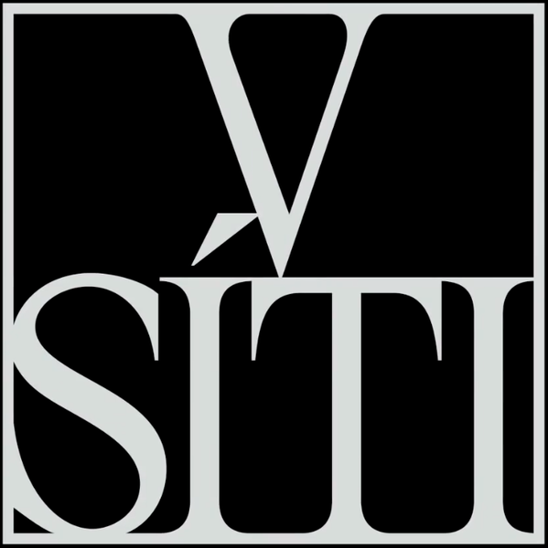 File:V síti logo.png