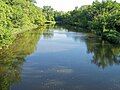 Yellow Medicine River in Minnesota Falls Township