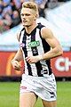 Adam Treloar in 2017