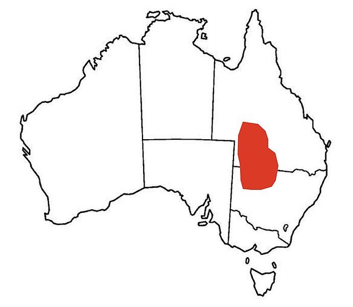 File:Australia distribution.jpg