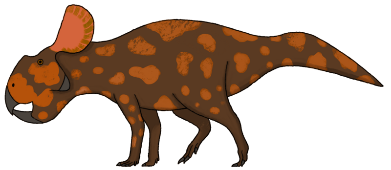 File:Bainoceratops reconstruction.png