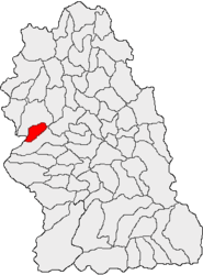 Location in Hunedoara County