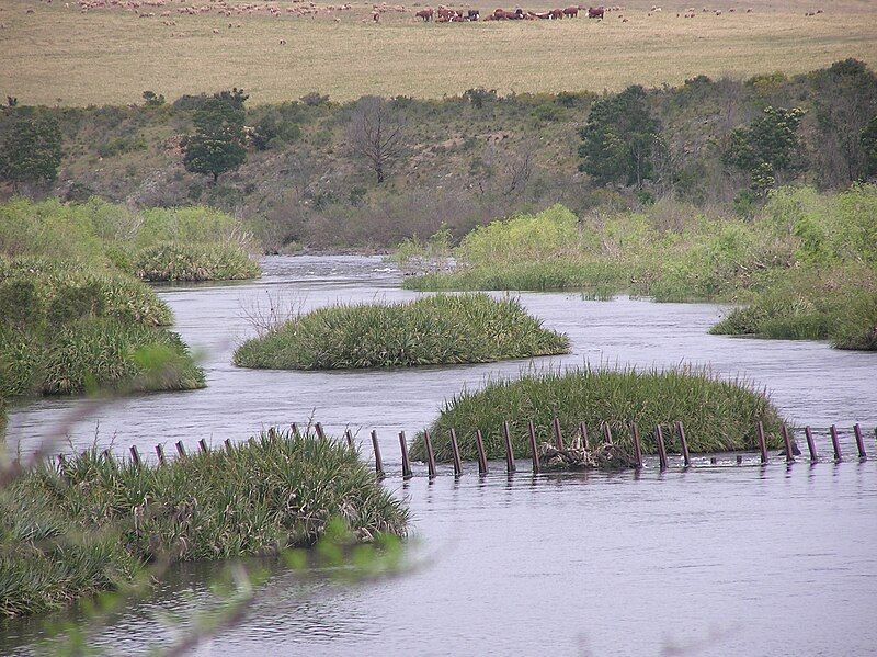 File:Breede River PA020053.JPG