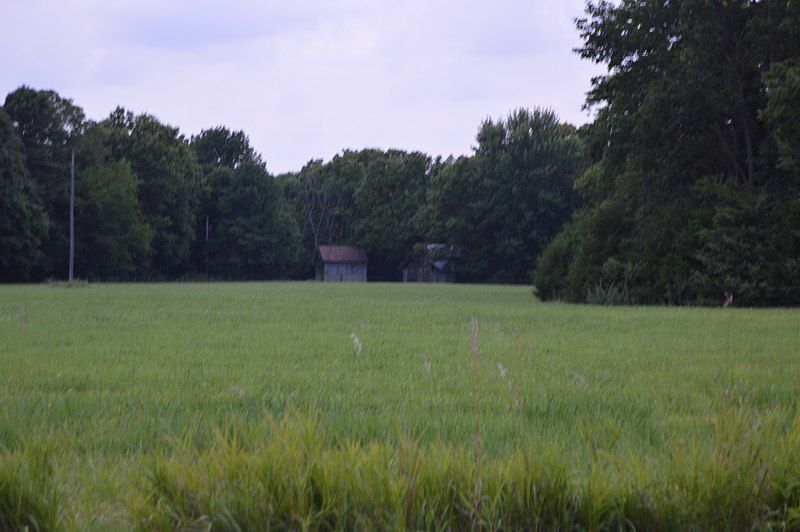 File:Cambre Farm distant.jpg