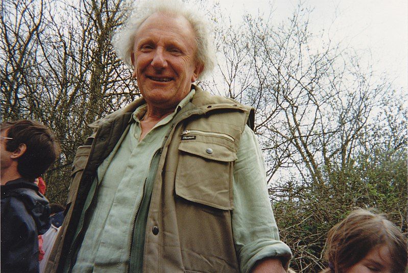 File:David Shepherd (artist).jpg