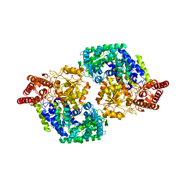 File:EcSHMTPyMol.png