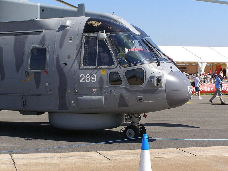 File:FFD-Merlin-0162.JPG