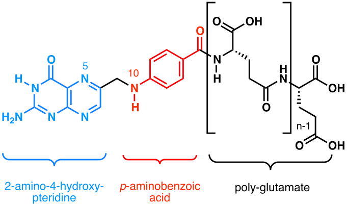 File:Folate family.svg