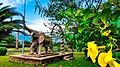 Elephant monument at UB campus