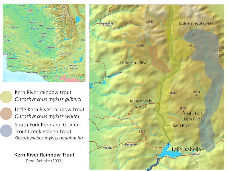 File:KernRiverRainbowRangeMap.png