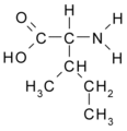 Isoleucine (Ile / I)