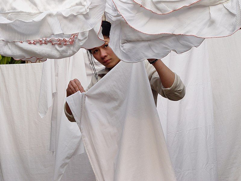 File:Laundry-Lady-in-Mai-Chau,-Vietnam.jpg