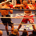 Miguel Cotto June 30, 2007