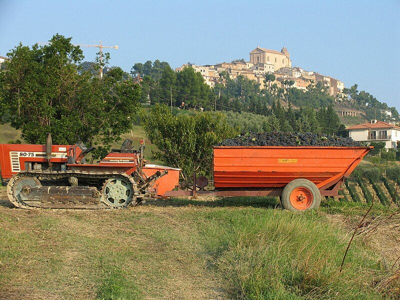 File:Montepulciano101.jpg