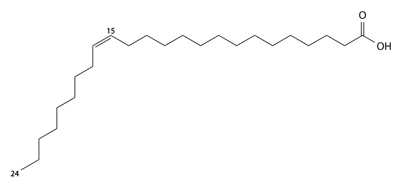 File:Nervonic acid.svg