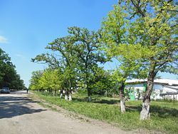 Village (selo) Prudy, Sovetsky District