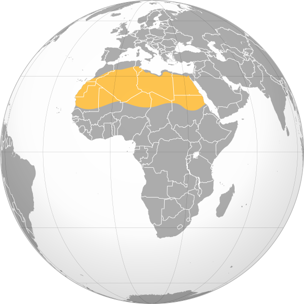 File:Sahara.svg