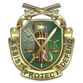 Regimental Insignia of the United States Military Police Corps.